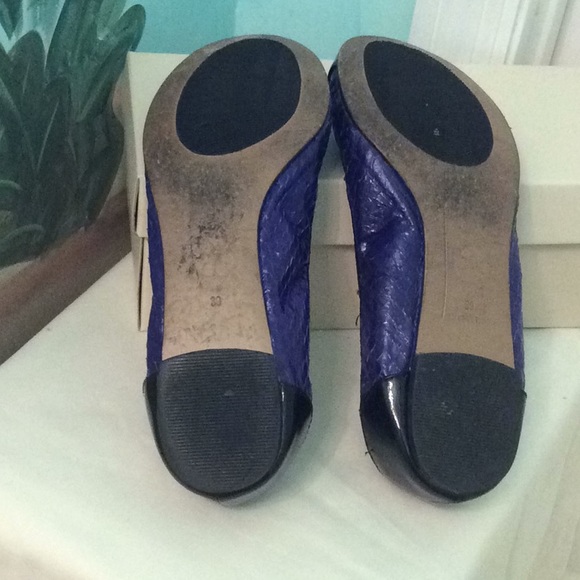 Ballerina Purple & Black Slip Ons by ALL BLACK - Picture 5 of 8